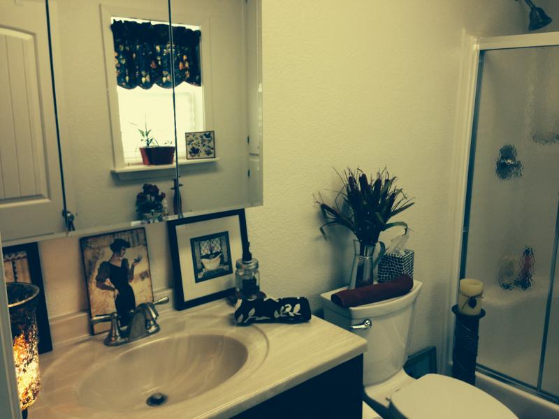 Bathroom construction